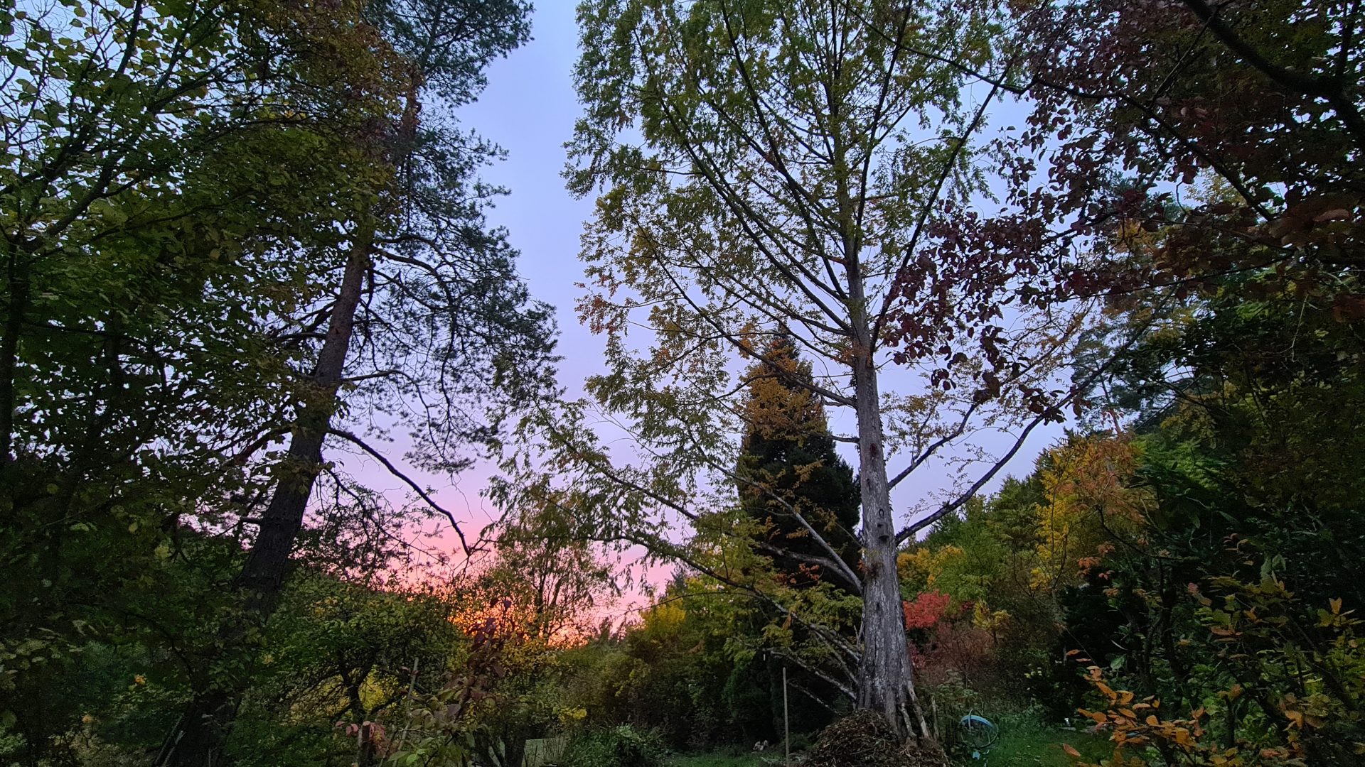 Herbst und Abendsonne